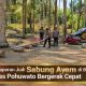Ada Laporan Judi Sabung Ayam di Botubilotahu, Polres Pohuwato Bergerak Cepat