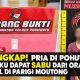 Terungkap! Pria di Pohuwato Mengaku Dapat Sabu dari Orang Tak Dikenal di Parigi Moutong