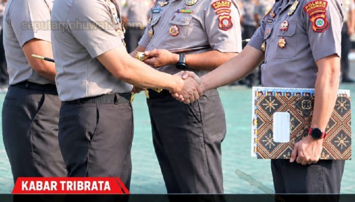 30 Kasus Tambang Ilegal di Pohuwato Berhasil Ditangani, Kapolres AKBP Busroni dan Anggota Dapat Penghargaan